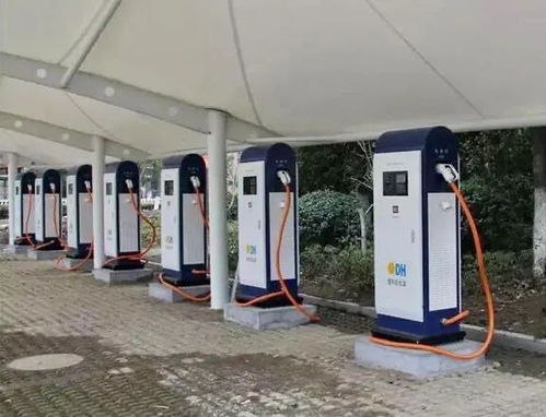 西雙版納州新能源汽車保有量9106輛 頻道頭條 西雙版納